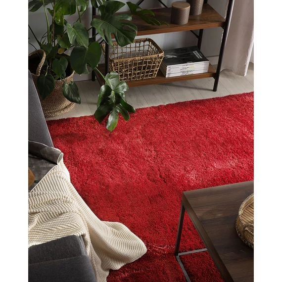 EVREN hosszú szálú szőnyeg 200 x 200 cm (piros) 40041